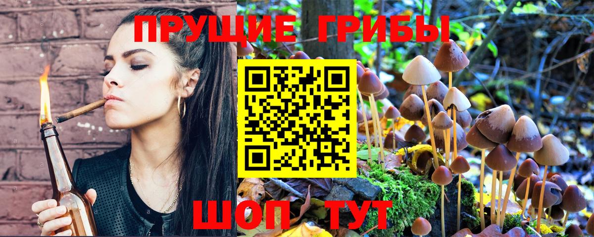 Псилоцибиновые грибы MAGIC MUSHROOMS Кубинка