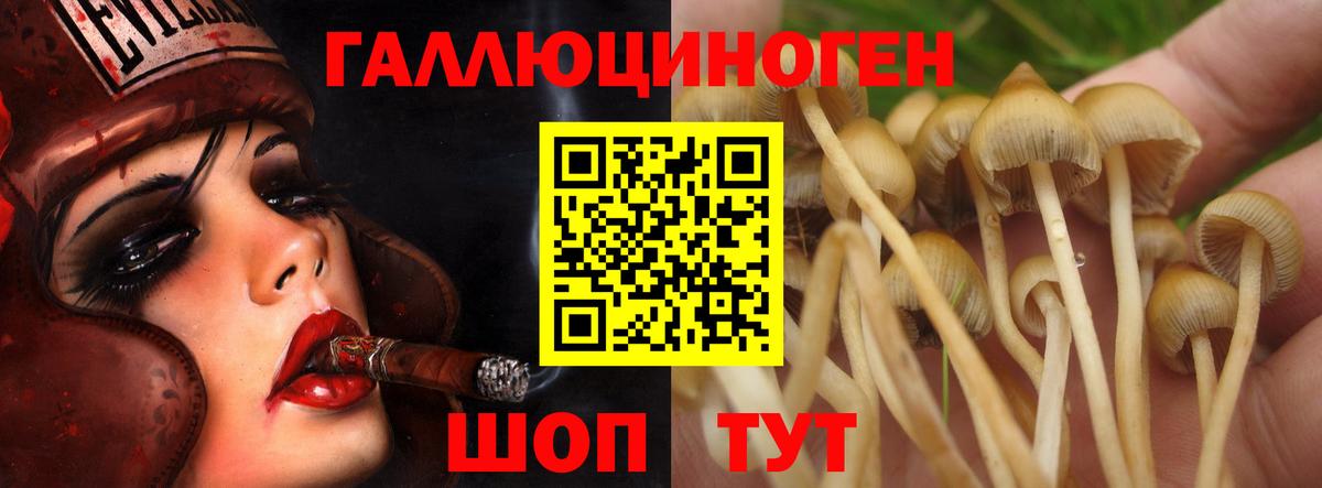 Галлюциногенные грибы Magic Shrooms  Вход с VPN  Кубинка 